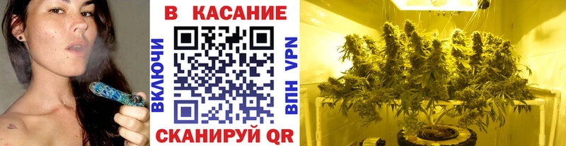 Где купить наркотики Сорочинск Гашиш  APVP  Амфетамин  Каннабис  Меф мяу мяу 