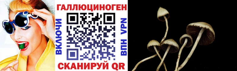 Галлюциногенные грибы Psilocybe  закладка  mega вход  Сорочинск 